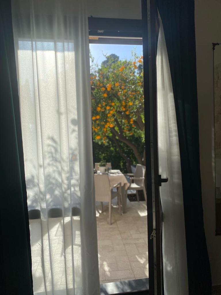 Casa Vacanza Il Mandarino Виагранде Екстериор снимка