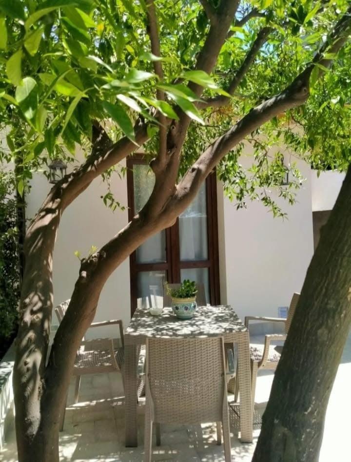 Casa Vacanza Il Mandarino Виагранде Екстериор снимка
